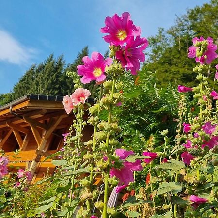 Chalet Arpitan - Les Carroz - Grand Massif Exteriör bild