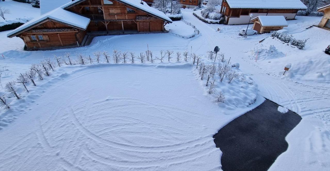 Chalet Arpitan - Les Carroz - Grand Massif Exteriör bild