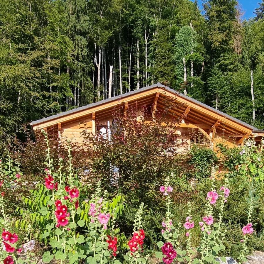 Chalet Arpitan - Les Carroz - Grand Massif Exteriör bild
