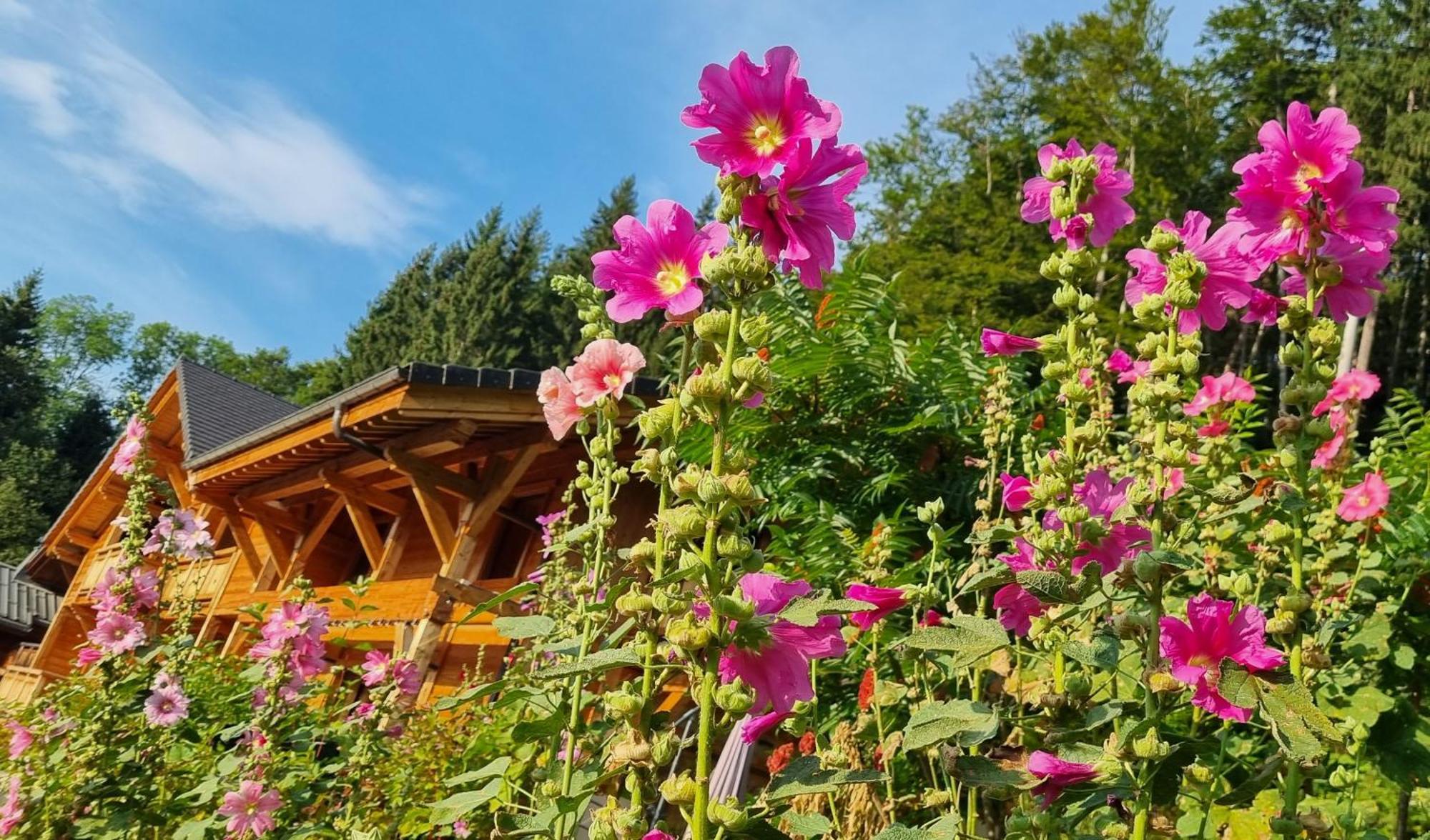 Chalet Arpitan - Les Carroz - Grand Massif Exteriör bild
